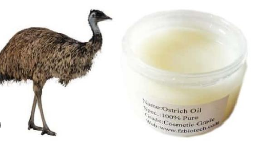 معالجة دهن النعام