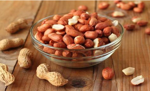 استنبات الفول السودانى النئ